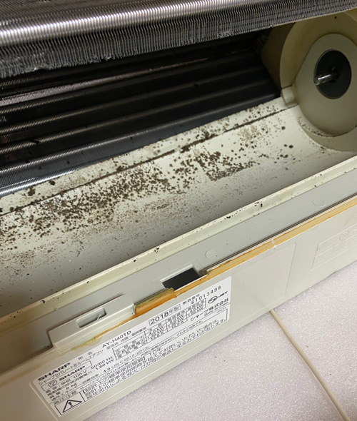 室内機内部のファンの裏側の汚れ